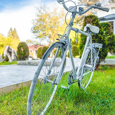 Hotel и марая Carevo